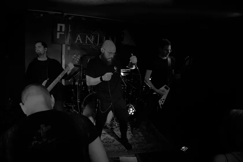 ANJIN Live Performance